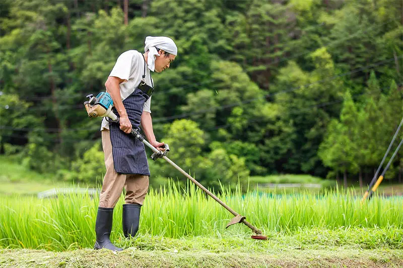 草刈り | 伐採ヤマトサービス｜愛知県の伐採・剪定専門業者