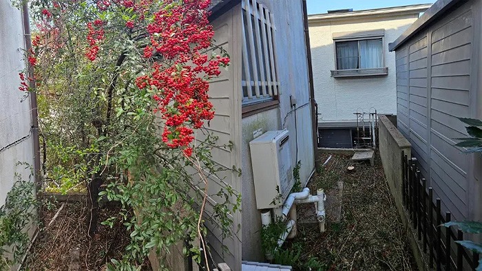 ピラカンサの木を伐採した時のビフォーアフター写真