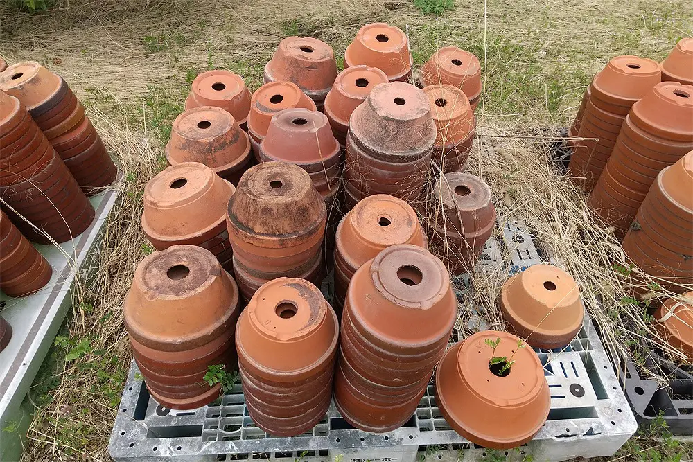 植木鉢・観葉植物・プランターの撤去 | 伐採ヤマトサービス｜愛知県の