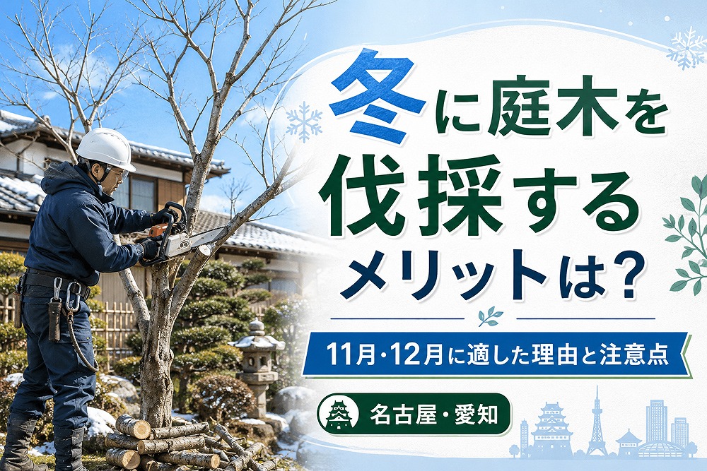 名古屋・愛知で冬の庭木をチェーンソーで伐採する作業員